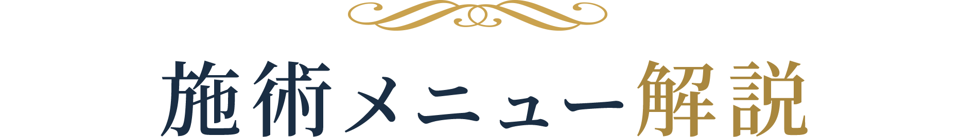 施術メニュー解説