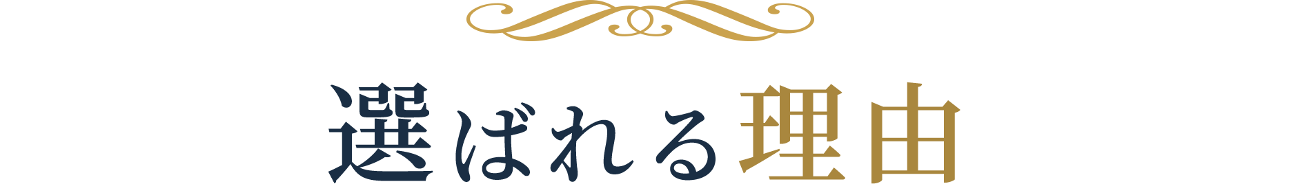 選ばれる理由